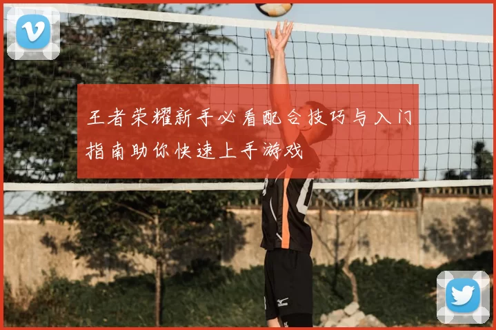 王者荣耀新手必看配合技巧与入门指南助你快速上手游戏