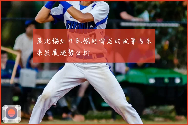 莱比锡红牛队崛起背后的故事与未来发展趋势分析