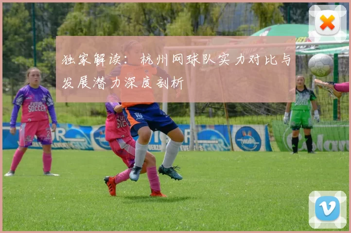 独家解读：杭州网球队实力对比与发展潜力深度剖析