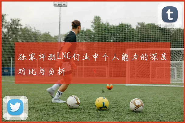 独家评测LNG行业中个人能力的深度对比与分析