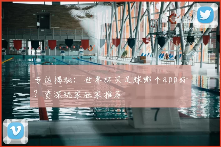 专访揭秘：世界杯买足球哪个app好？资深玩家独家推荐