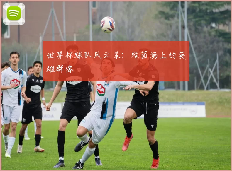 世界杯球队风云录:绿茵场上的英雄群像