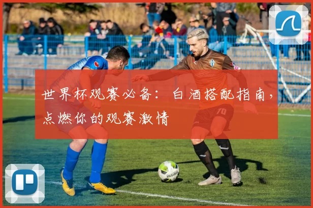 世界杯观赛必备:白酒搭配指南,点燃你的观赛激情