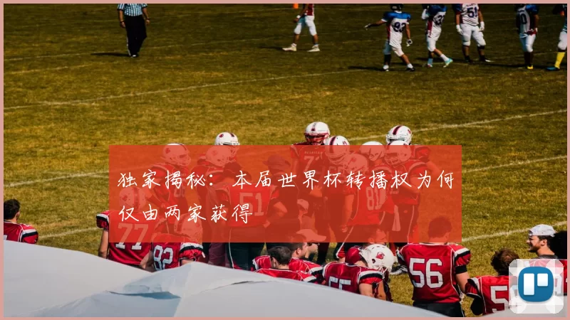 独家揭秘：本届世界杯转播权为何仅由两家获得