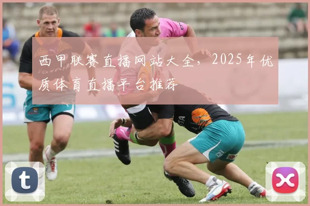 西甲联赛直播网站大全，2025年优质体育直播平台推荐