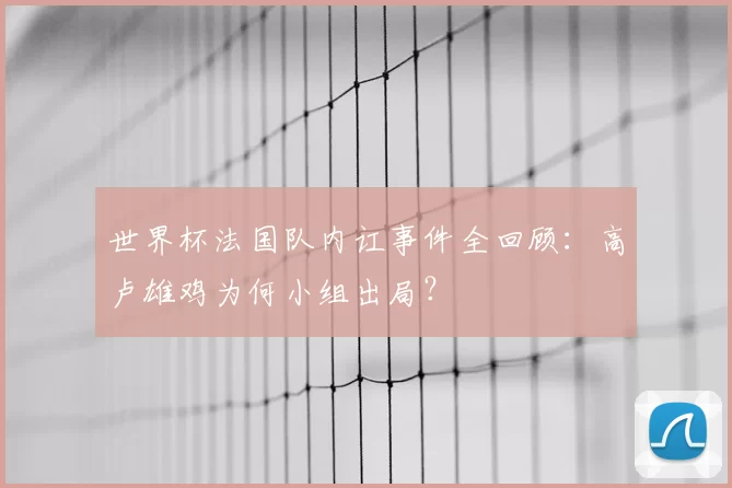 世界杯法国队内讧事件全回顾：高卢雄鸡为何小组出局？