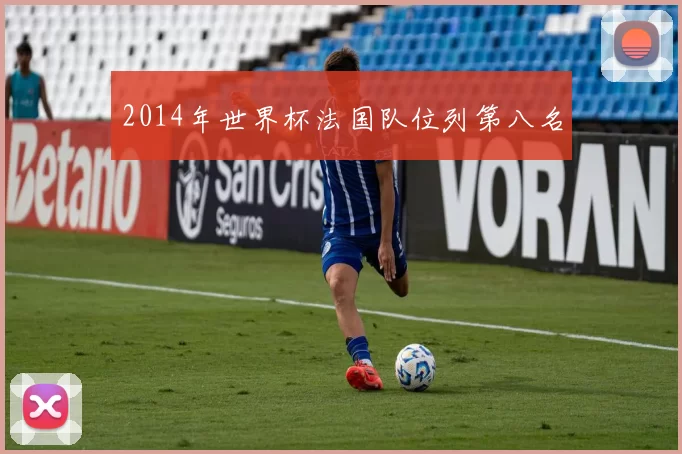 2014年世界杯法国队位列第八名