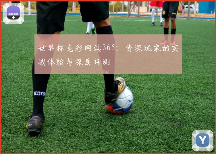 世界杯竞彩网站365：资深玩家的实战体验与深度评测