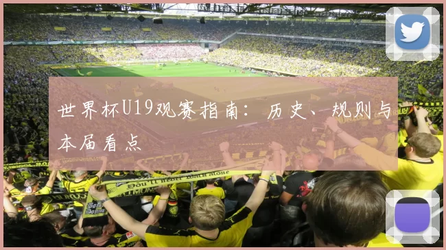 世界杯U19观赛指南:历史、规则与本届看点