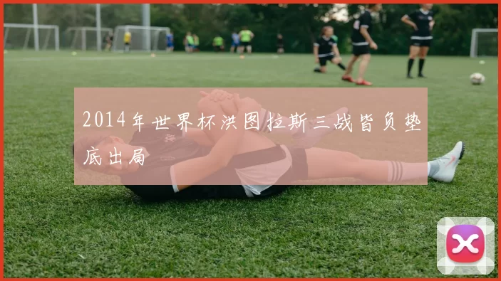 2014年世界杯洪图拉斯三战皆负垫底出局