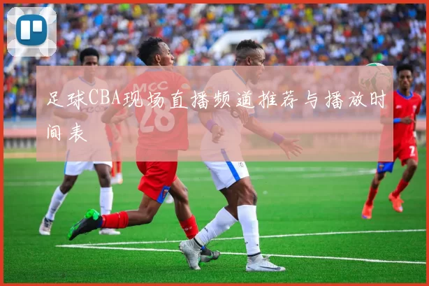 足球CBA现场直播频道推荐与播放时间表