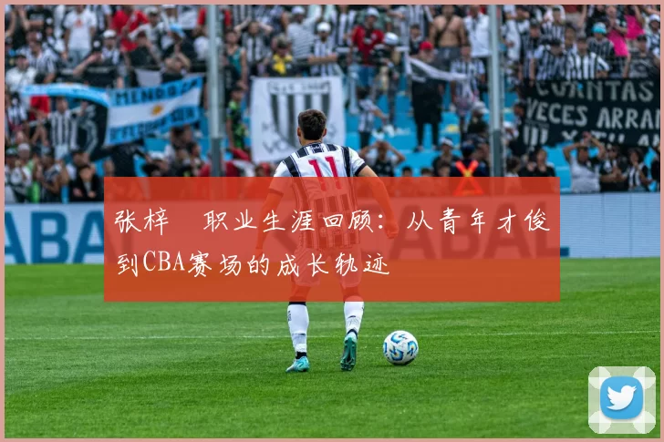 张梓祎职业生涯回顾:从青年才俊到CBA赛场的成长轨迹