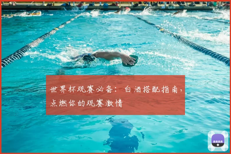 世界杯观赛必备:白酒搭配指南,点燃你的观赛激情
