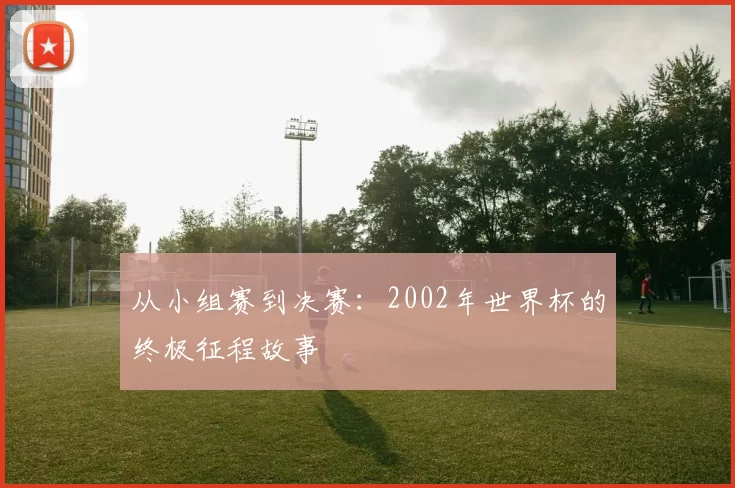 从小组赛到决赛:2002年世界杯的终极征程故事