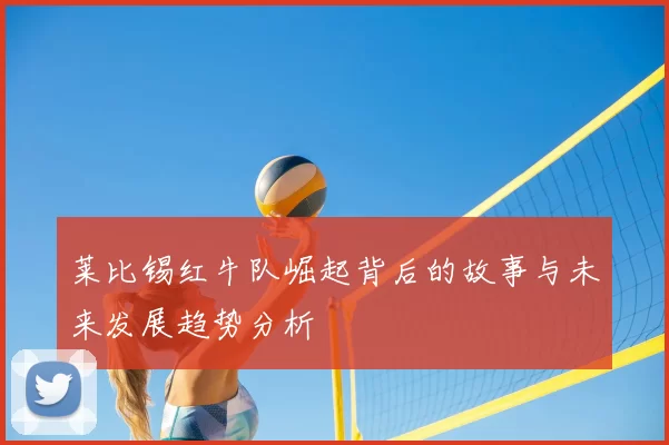 莱比锡红牛队崛起背后的故事与未来发展趋势分析