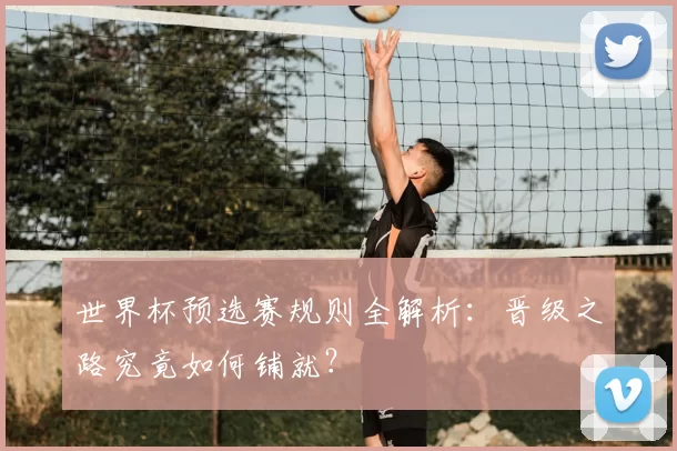 世界杯预选赛规则全解析:晋级之路究竟如何铺就?