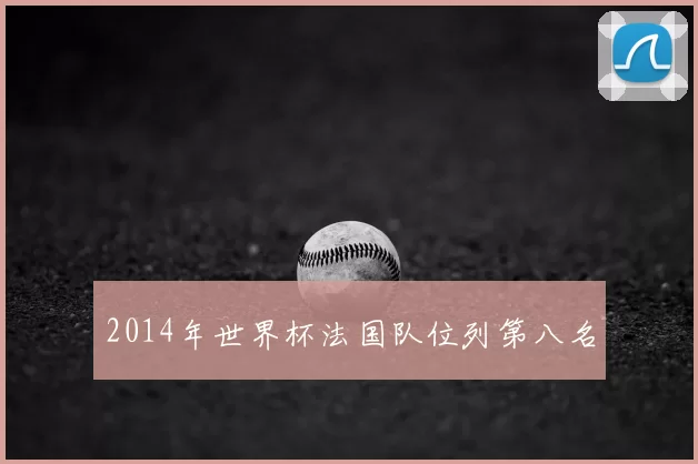 2014年世界杯法国队位列第八名
