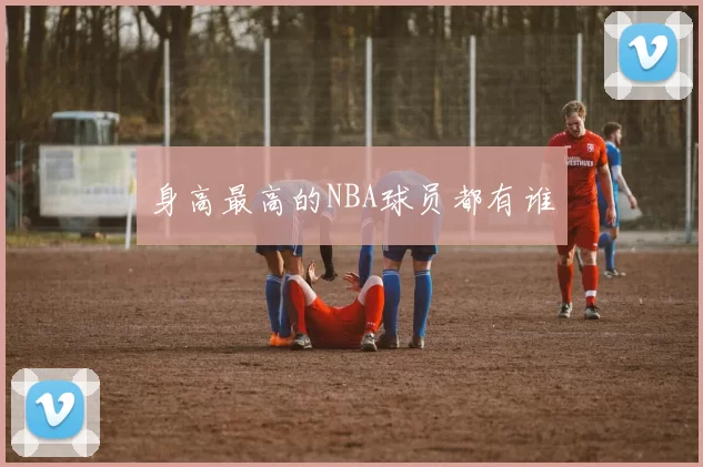 身高最高的NBA球员都有谁