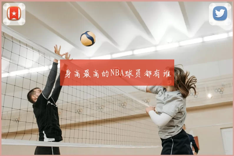 身高最高的NBA球员都有谁