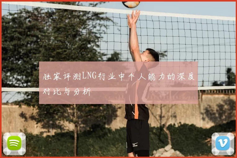 独家评测LNG行业中个人能力的深度对比与分析