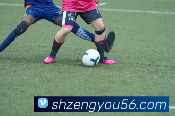 多媒体互动体验